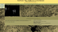 Fred Forest - Flux et Reflux (La Caverne Internet)