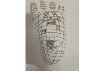 Anonymous