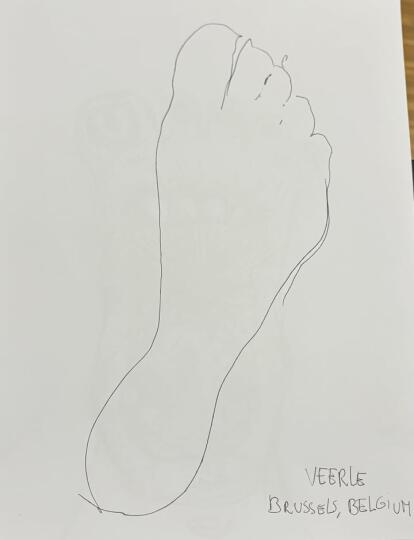 Veerle